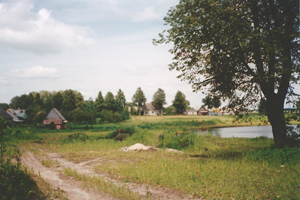 pond