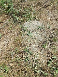 Tyachiv-tombstone-163