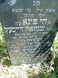 Tyachiv-tombstone-238