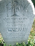 Tyachiv-tombstone-261