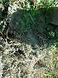Tyachiv-tombstone-272