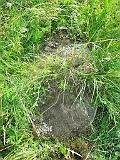 Tykhyy-tombstone-09