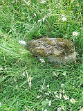 Tykhyy-tombstone-28