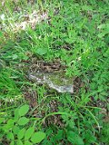 Tyushka-tombstone-006