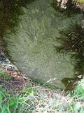 Tyushka-tombstone-036