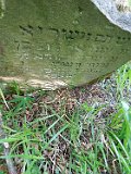 Tyushka-tombstone-074