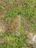 Uzhhorod-Section-1-tstone-0074