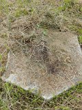 Uzhhorod-Section-1-tstone-0143