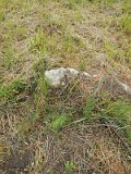 Uzhhorod-Section-1-tstone-0154