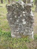 Uzhhorod-Section-1-tstone-0240