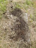 Uzhhorod-Section-1-tstone-0251