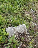 Uzhhorod-Section-1-tstone-0266