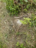 Uzhhorod-Section-1-tstone-0268