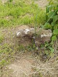 Uzhhorod-Section-1-tstone-0289
