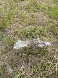 Uzhhorod-Section-1-tstone-0293
