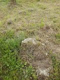 Uzhhorod-Section-1-tstone-0382