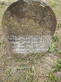 Uzhhorod-Section-1-tstone-0433