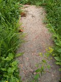 Uzhhorod-Section-1-tstone-0631