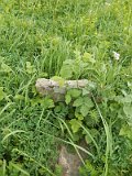 Uzhhorod-Section-1-tstone-0820