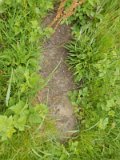 Uzhhorod-Section-1-tstone-0848