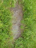 Uzhhorod-Section-1-tstone-0850