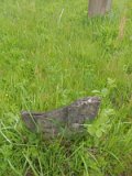 Uzhhorod-Section-1-tstone-0871