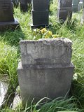 Uzhhorod-Section-1-tstone-1130
