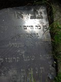 Uzhhorod-Section-1-tstone-1633