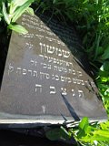 Uzhhorod-Section-2-tstone-0135