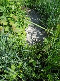 Uzhhorod-Section-2-tstone-0172