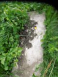 Uzhhorod-Section-2-tstone-0594