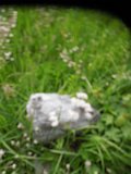 Uzhhorod-Section-2-tstone-0625