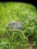 Uzhhorod-Section-2-tstone-0634
