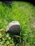 Uzhhorod-Section-2-tstone-0799