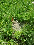 Uzhhorod-Section-2-tstone-1113