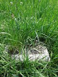 Uzhhorod-Section-2-tstone-1228
