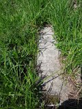 Uzhhorod-Section-2-tstone-1388