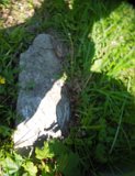 Uzhhorod-Section-2-tstone-1389