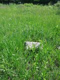 Uzhhorod-Section-2-tstone-1398