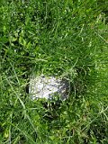Uzhhorod-Section-2-tstone-1478