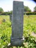 Uzhhorod-Section-2-tstone-1509