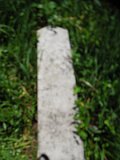 Uzhhorod-Section-2-tstone-1517
