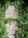 Uzhhorod-Section-2-tstone-1565