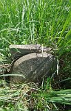 Uzhhorod-Section-2-tstone-1630