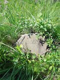 Uzhhorod-Section-2-tstone-1651