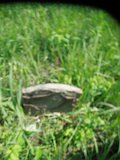Uzhhorod-Section-2-tstone-1876