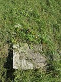 Uzhhorod-Section-2-tstone-2133