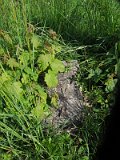Uzhhorod-Section-2-tstone-2307
