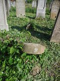 Uzhhorod-Section-2-tstone-2455