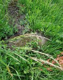 Uzhhorod-Section-2-tstone-2936